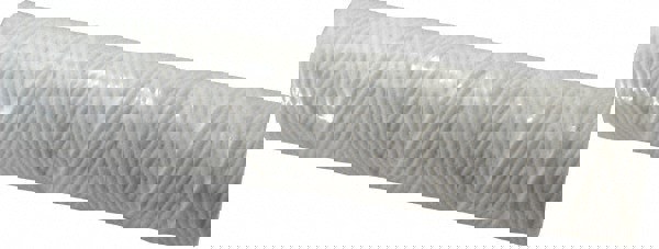 Plumbing Cartridge Filter: 2-1/2